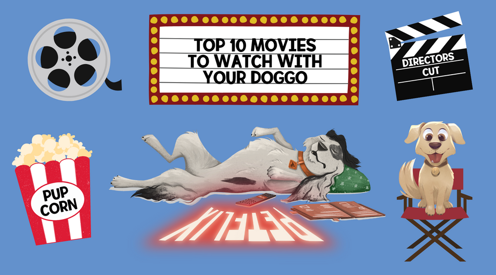 Top 10 movies to watch with your doggo!