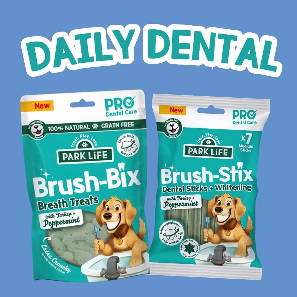 Daily Dental Stix